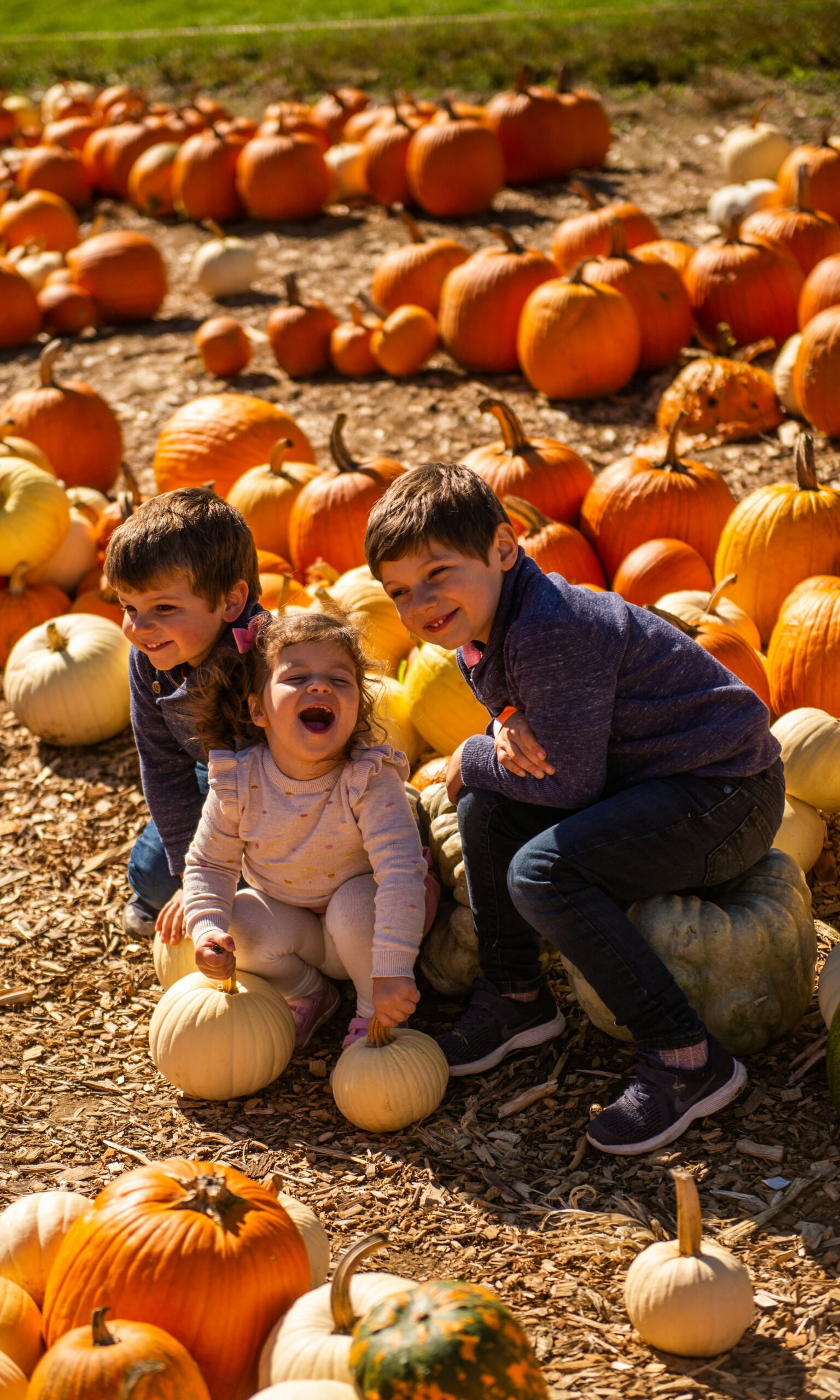 Two young kids sitting on top of a pile of pumpkins at a pumpkin patch