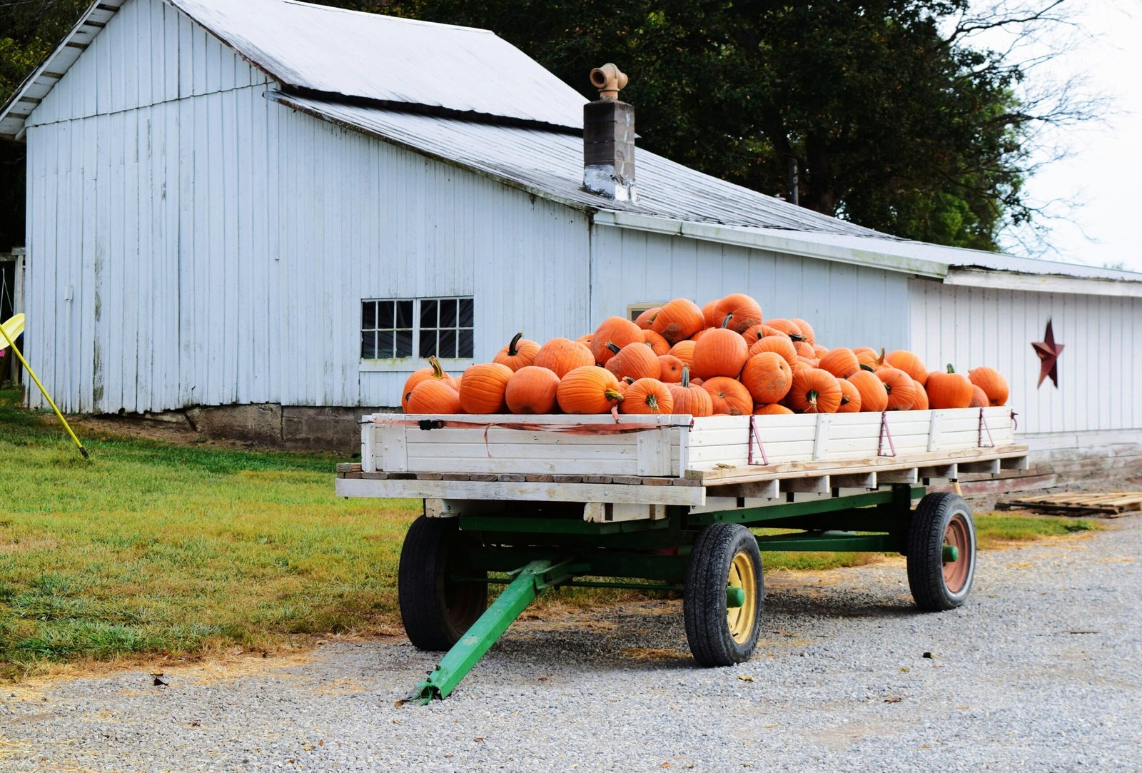 A wagon full of pumpkins in front of a red barn at a fall farm stand