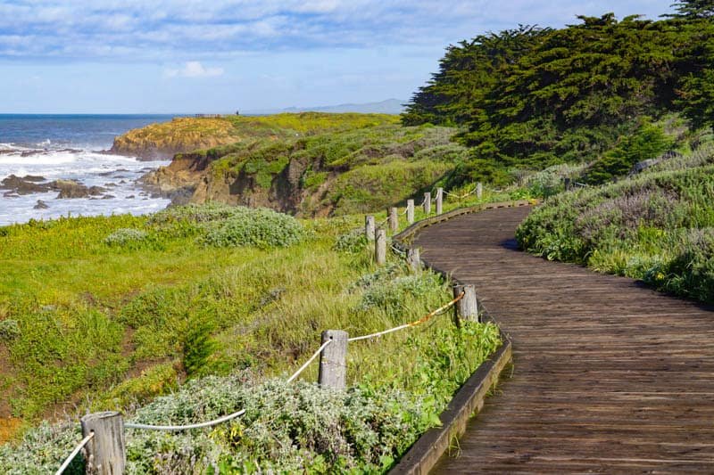 Coastal bluff trail with ocean views